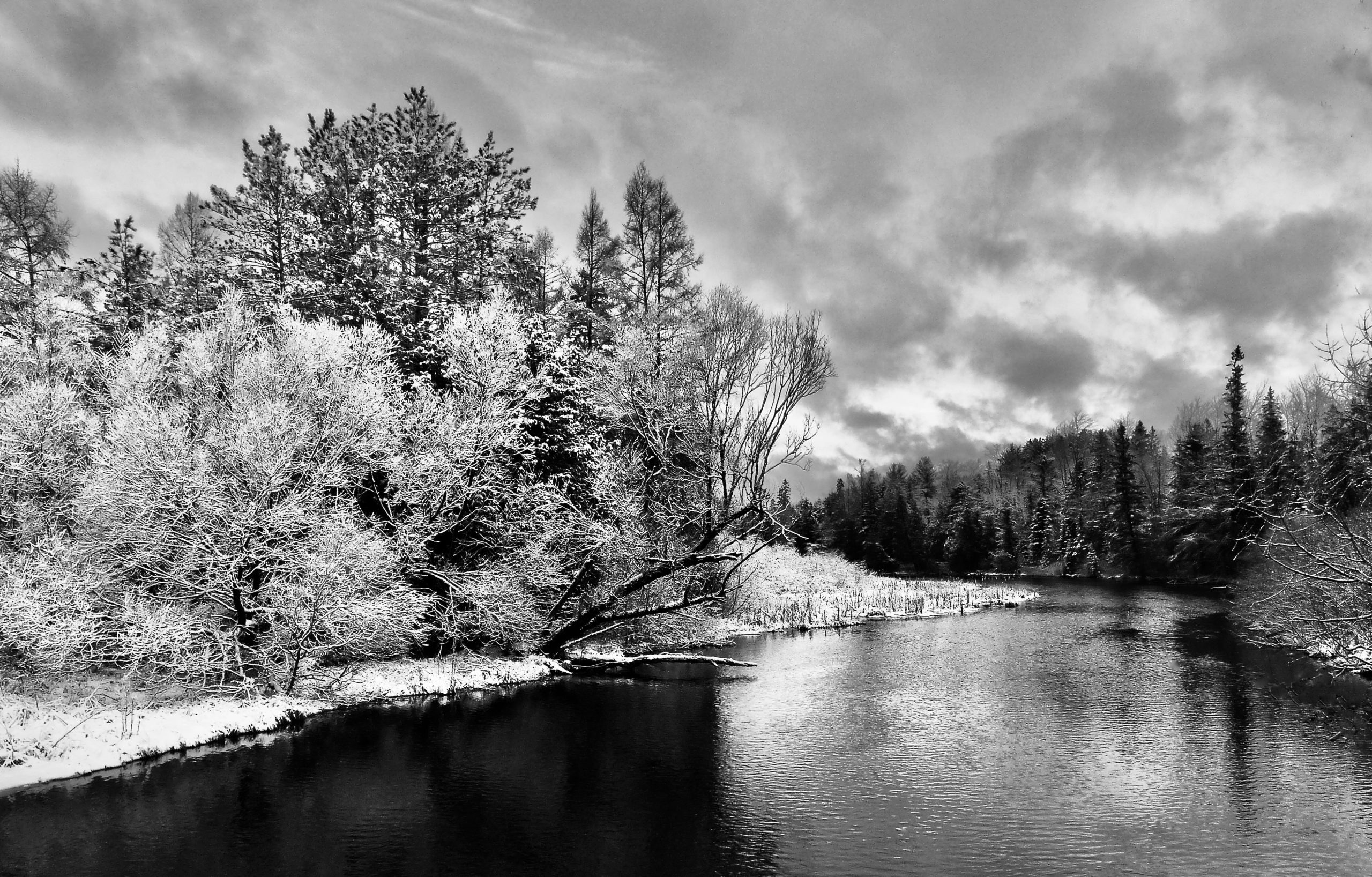 Hans Schmitt - Springs and Seasons - PLOVER RI